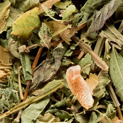 Tisane du Berger Dammann kruideninfusie 50 g